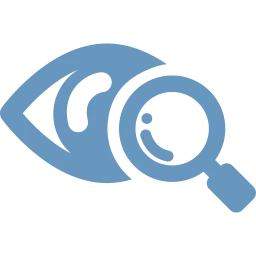 Vision Icon